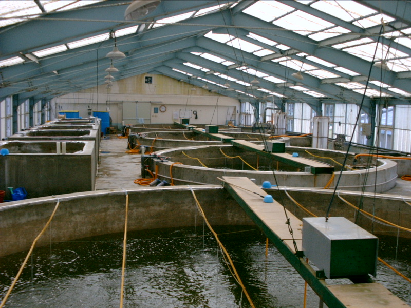 the-importance-of-water-quality-monitoring-in-aquaculture